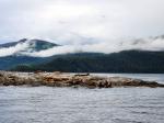 Prince William Sound 26 Glacier Cruise